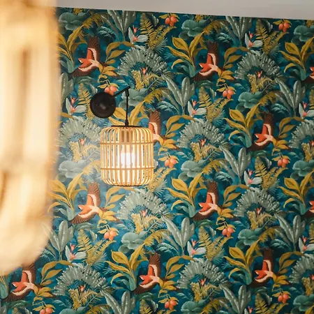 Affaire, Petit Dejeuner Offert En Hypercentre Апарт-отель Кан